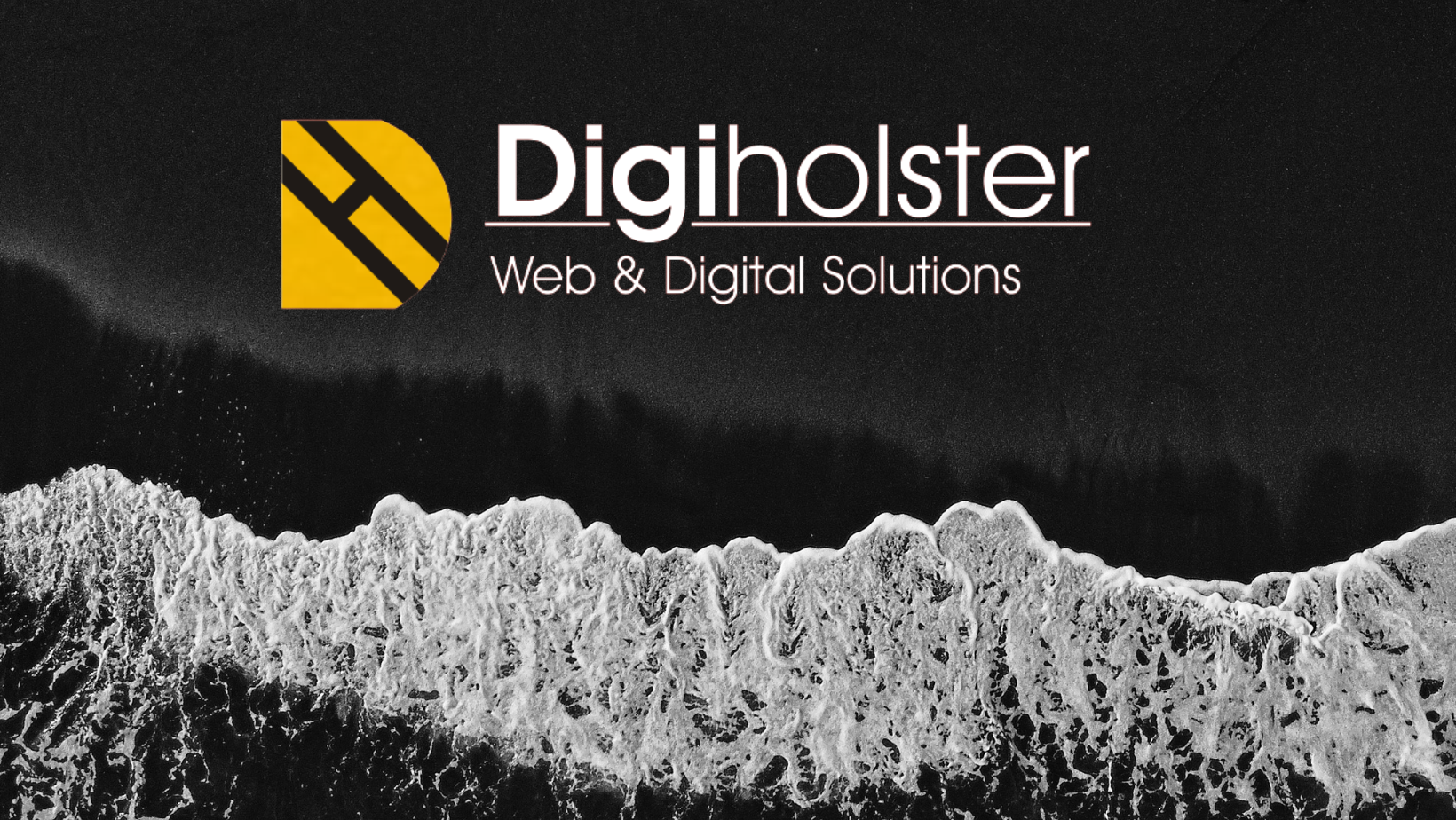 Website Design & Development by DigiHolster