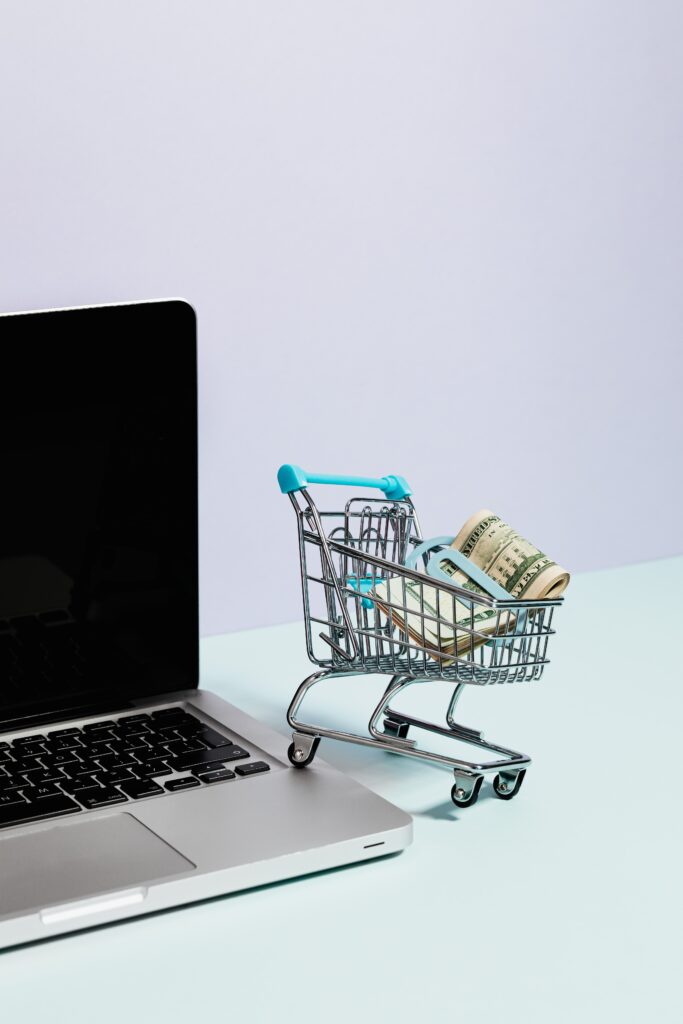 The Future of E-commerce And Online Shopping